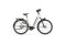 Gazelle Arroyo C5 Elite RT HMB - 625 Wh - 28 Zoll - Tiefeinsteiger - 2025