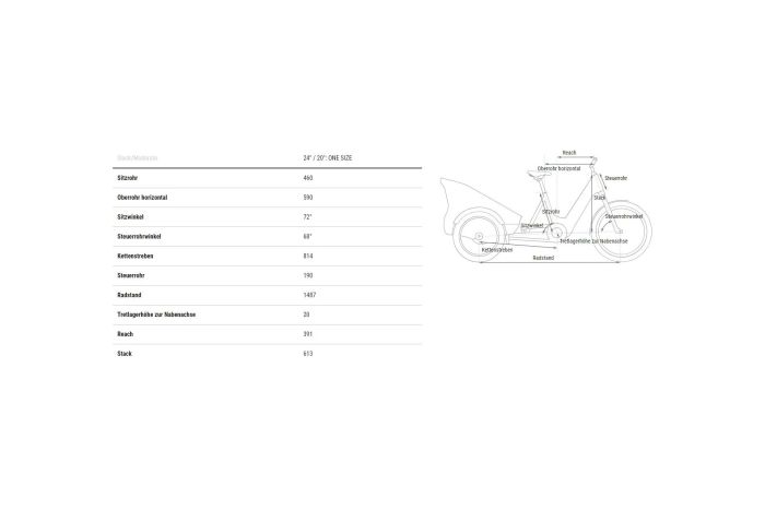 Cube Trike Hybrid Cargo 1500 - 1500 Wh - 24 Zoll - 2025
