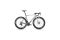 Focus Izalco Max 9.0 - 28 Zoll - Diamant - 2025