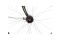 Lakes Arco 90 - 28 Zoll - Diamant - 2024