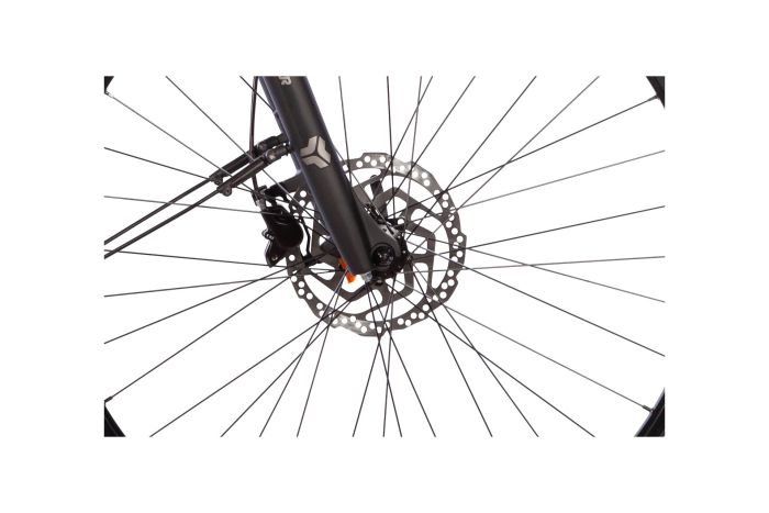 Carver Route E.430 - 500 Wh - 28 Zoll - Damen Sport - Aktion