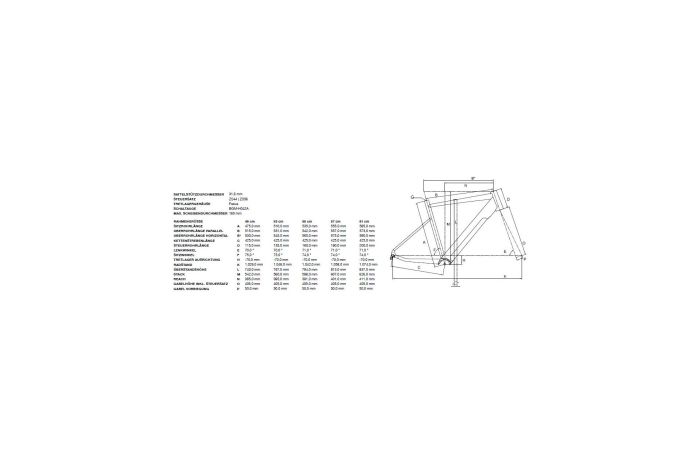 Bergamont E-Grandurance RD Expert - 252 Wh - 28 Zoll - Diamant - Aktion