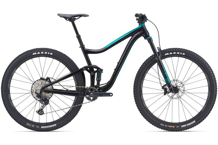 Giant Trance 2 - 29 Zoll - Fully - Aktion