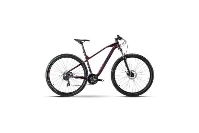 Raymon HardRay Nine 2.0 - 29 Zoll - Diamant - 2024