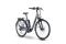 Raymon CityRay E 3.0 - 500 Wh - 28 Zoll - Tiefeinsteiger - 2024