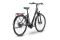 Husqvarna Eco City 2 FW 418 - 418 Wh - 26 Zoll - Tiefeinsteiger - 2023