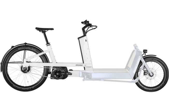 Bergamont E-Cargoville LJ Expert - 625 Wh - 26 Zoll - Aktion