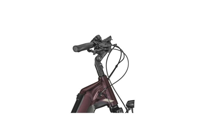 Bergamont E-Horizon Expert - 625 Wh - 28 Zoll - Tiefeinsteiger - Aktion