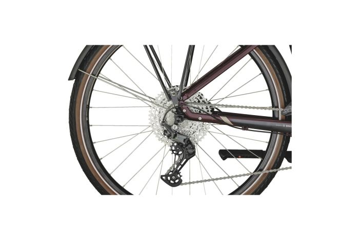 Bergamont E-Horizon Expert - 625 Wh - 28 Zoll - Tiefeinsteiger - Aktion