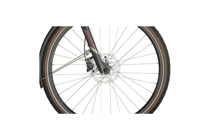 Bergamont E-Horizon Expert - 625 Wh - 28 Zoll - Tiefeinsteiger - Aktion