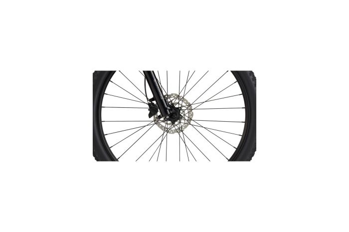 Cannondale Trail 5 - 29 Zoll - Diamant - 2024
