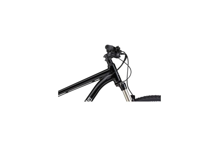Cannondale Trail 5 - 27,5 Zoll - Diamant - Aktion