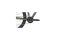 Cannondale Trail Women's 6 - 29 Zoll - Diamant - Aktion