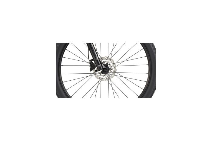 Cannondale Trail Women's 6 - 29 Zoll - Diamant - Aktion