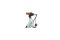 Cannondale Adventure Neo 2 EQ - 500 Wh - 27,5 Zoll - Tiefeinsteiger - 2025