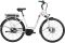 Carver Cityzen E LTD RT - 400 Wh - 28 Zoll - Tiefeinsteiger - 2024