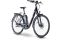 Raymon CityRay E 4.0 FW - 500 Wh - 28 Zoll - Tiefeinsteiger - 2024
