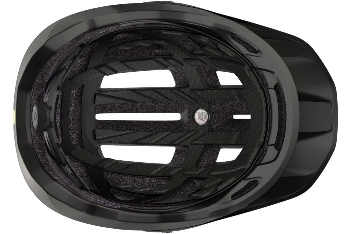 Scott Stego Plus MIPS