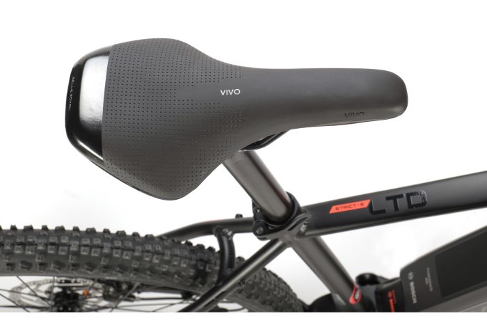 Carver Strict E LTD - 400 Wh - 29 Zoll - Diamant
