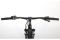 Carver Strict E LTD - 400 Wh - 29 Zoll - Diamant