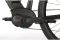 Carver Strict E LTD - 400 Wh - 29 Zoll - Diamant