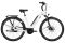 Carver Cityzen E.410 RT - 400 Wh - 28 Zoll - Tiefeinsteiger - Aktion
