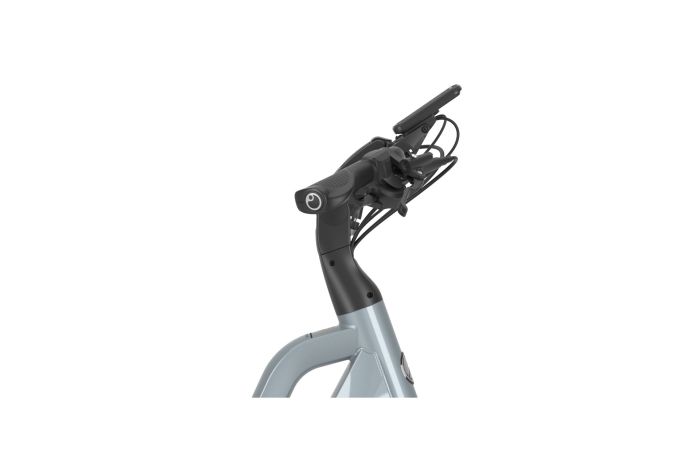 Gazelle Chamonix T10 HMS - 630 Wh - 28 Zoll - Tiefeinsteiger - 2024
