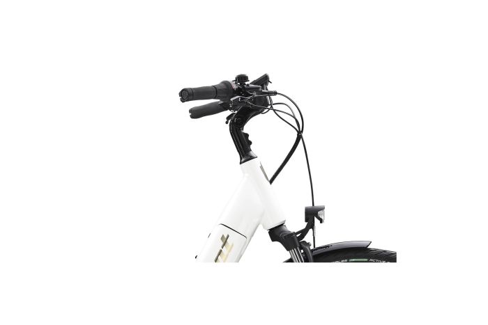 Diamant Beryll Deluxe+ RT - 500 Wh - 28 Zoll - Tiefeinsteiger - Aktion