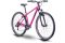 Raymon NineRay 1.0 - 29 Zoll - Diamant - 2024