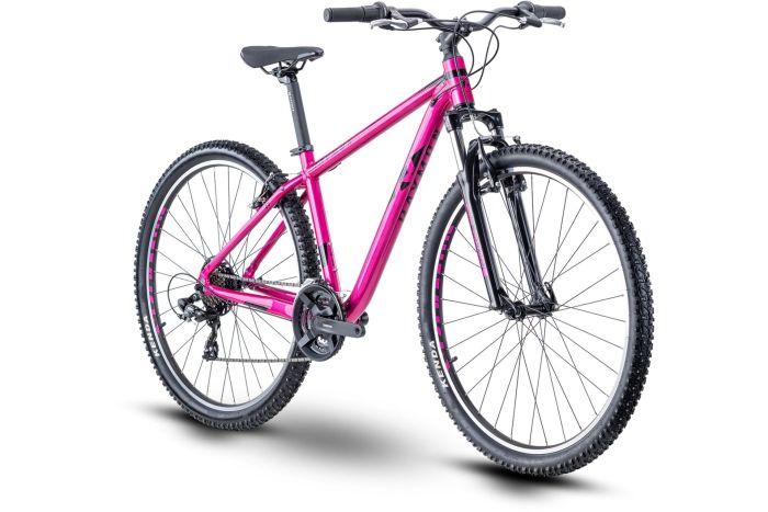 Raymon NineRay 1.0 - 29 Zoll - Diamant - 2024