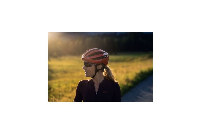 Abus Aventor