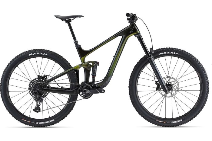 Giant Reign Advanced Pro 2 - 29 Zoll - Fully - Aktion