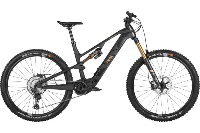 Rotwild R.E375 Pro - 375 Wh - 29 Zoll - Fully