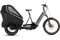 Cube Trike Hybrid Family 1500 - 1500 Wh - 24 Zoll - 2025