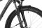 Carver Strict 120 Street - 29 Zoll - Diamant - 2024