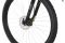 Carver Strict 120 - 29 Zoll - Diamant - 2024