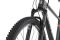 Carver Strict 170 - 29 Zoll - Diamant - 2024