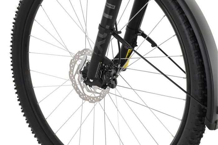 Carver Strict 120 Street - 29 Zoll - Diamant - 2024