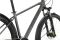 Carver Strict 120 Street - 29 Zoll - Diamant - 2024
