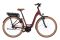 Riese und Müller Swing4 vario - 500 Wh - 26 Zoll - Tiefeinsteiger - 2025