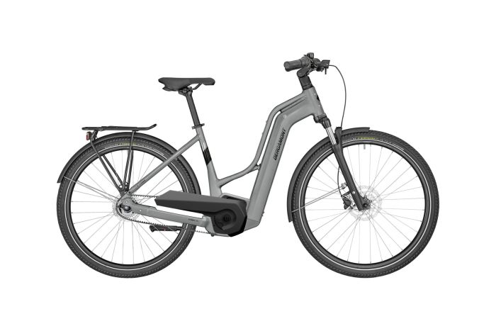Bergamont E-Horizon N5e FH Belt Amsterdam - 500 Wh - 28 Zoll - Doppelrohr - 2024