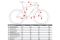 Carver Strict 130 - 29 Zoll - Diamant - 2024