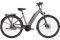 Carver Cityzen E.430 FL - 500 Wh - 28 Zoll - Tiefeinsteiger - 2024