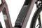 Carver Cityzen E.430 FL - 500 Wh - 28 Zoll - Tiefeinsteiger - 2024