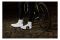 WOWOW Artic 2.0 Full Reflective Shoe cover