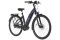 Carver Cityzen E.430 FL - 500 Wh - 28 Zoll - Tiefeinsteiger - 2024