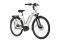 Carver Cityzen E.410 FL - 400 Wh - 28 Zoll - Tiefeinsteiger - 2024