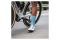 SPORCKS Grand Colombier Musgo