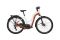 Bergamont E-Horizon Edition LTD Amsterdam - 750 Wh - 28 Zoll - Doppelrohr - 2024