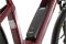 Carver Cityzen E.430 FL - 500 Wh - 28 Zoll - Tiefeinsteiger - 2024